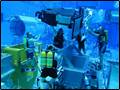 underwater training  img4
