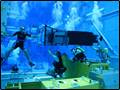 underwater training  img5